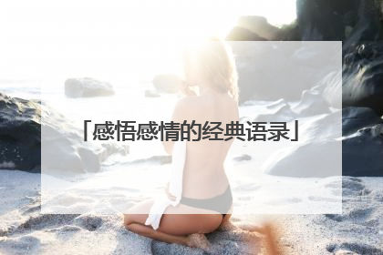 感悟感情的经典语录
