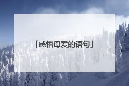 感悟母爱的语句