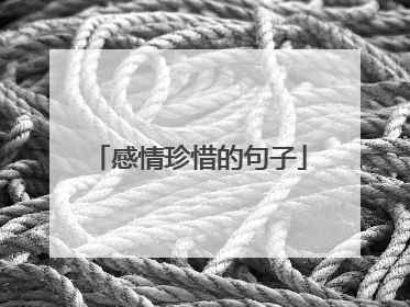 感情珍惜的句子