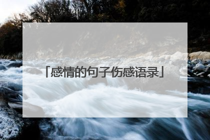 感情的句子伤感语录