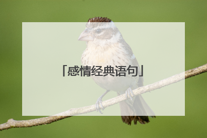 感情经典语句