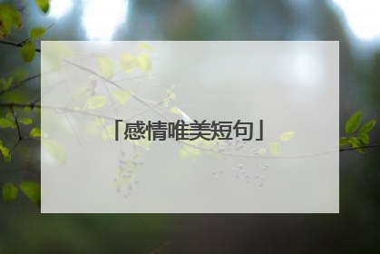 感情唯美短句