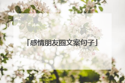 感情朋友圈文案句子