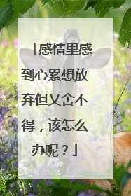 感情里感到心累想放弃但又舍不得,该怎么办呢?