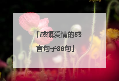 感慨爱情的感言句子80句