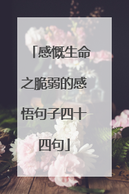 感慨生命之脆弱的感悟句子四十四句