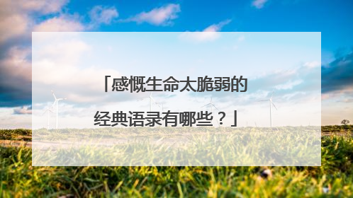 感慨生命太脆弱的经典语录有哪些?