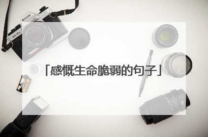 感慨生命脆弱的句子