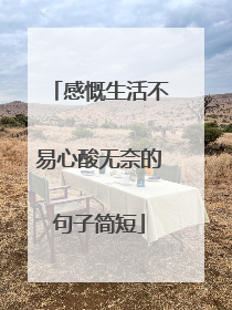 感慨生活不易心酸无奈的句子简短