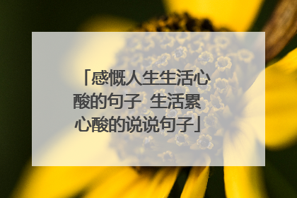 感慨人生生活心酸的句子 生活累心酸的说说句子