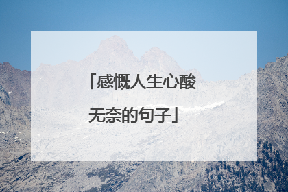 感慨人生心酸无奈的句子