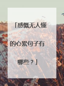 感慨无人懂的心累句子有哪些？