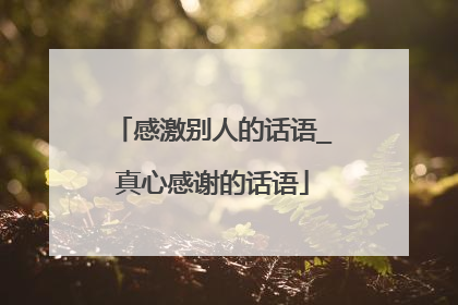 感激别人的话语_真心感谢的话语