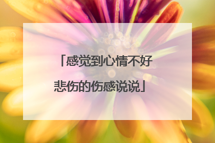 感觉到心情不好悲伤的伤感说说