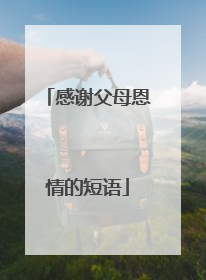 感谢父母恩情的短语
