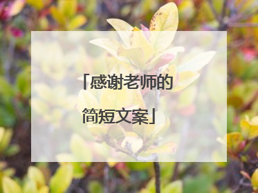 感谢老师的简短文案
