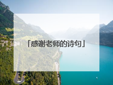 感谢老师的诗句