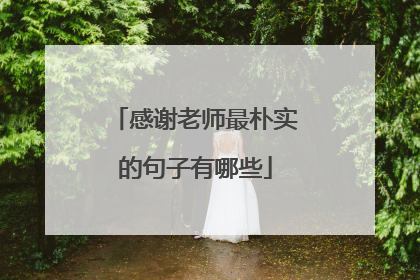 感谢老师最朴实的句子有哪些