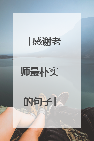感谢老师最朴实的句子