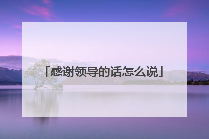 感谢领导的话怎么说