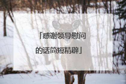 感谢领导慰问的话简短精辟