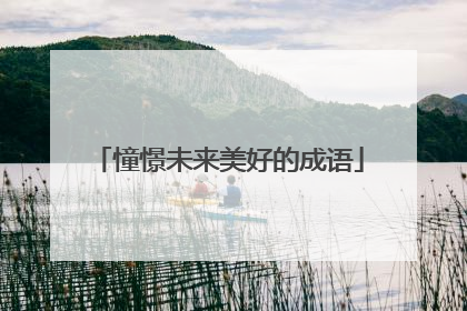 憧憬未来美好的成语