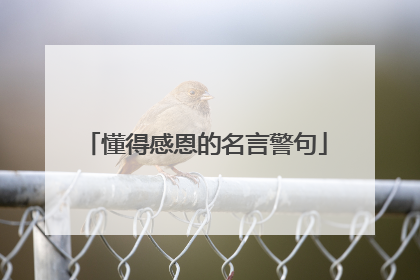 懂得感恩的名言警句