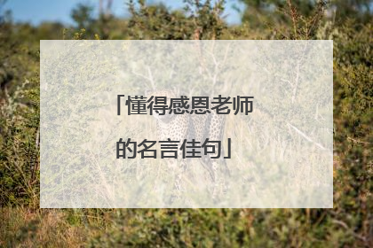 懂得感恩老师的名言佳句