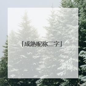 成熟昵称二字