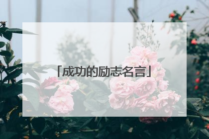 成功的励志名言