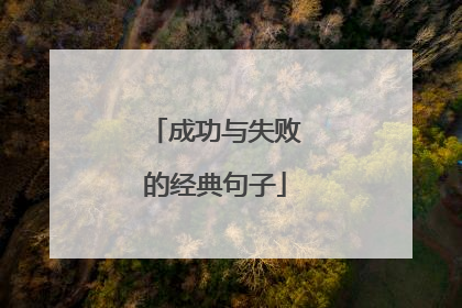 成功与失败的经典句子