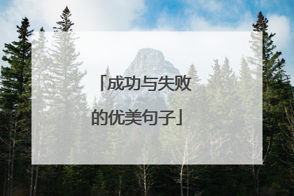 成功与失败的优美句子