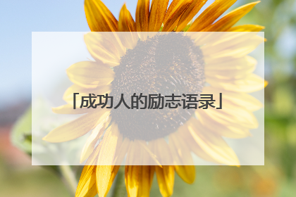 成功人的励志语录