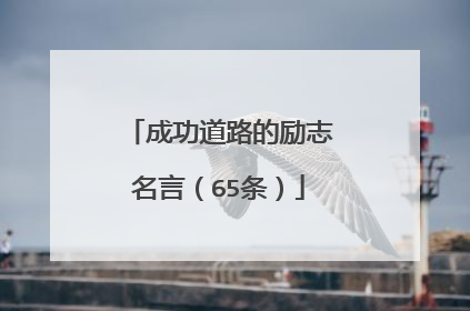 成功道路的励志名言(65条)