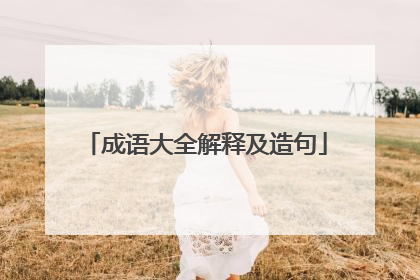 成语大全解释及造句