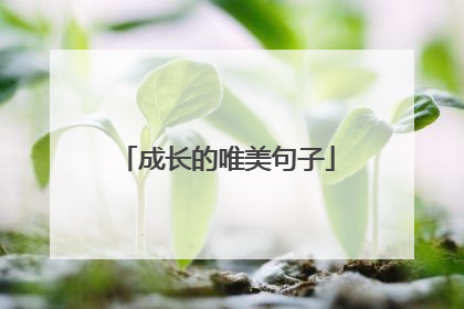 成长的唯美句子