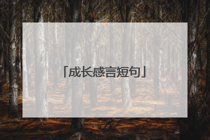 成长感言短句