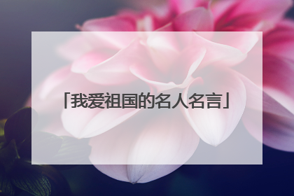 我爱祖国的名人名言