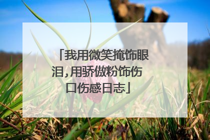 我用微笑掩饰眼泪,用骄傲粉饰伤口伤感日志
