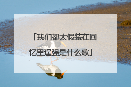 我们都太假装在回忆里逞强是什么歌