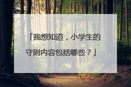 我想知道,小学生的守则内容包括哪些?