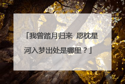 我曾踏月归来 愿枕星河入梦出处是哪里?