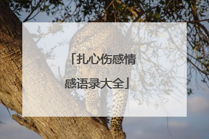 扎心伤感情感语录大全