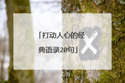 打动人心的经典语录20句