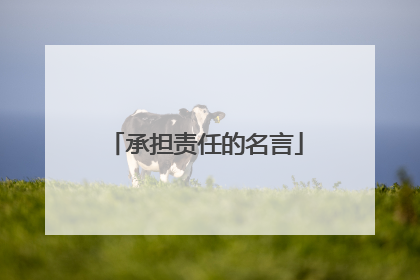 承担责任的名言