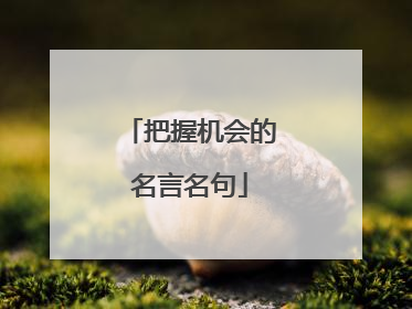 把握机会的名言名句