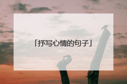 抒写心情的句子