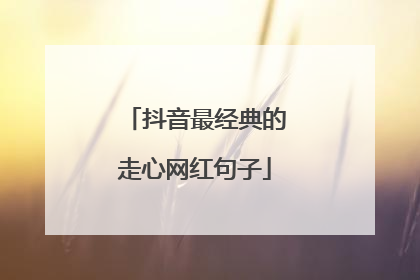 抖音最经典的走心网红句子