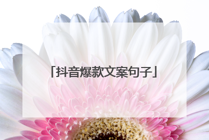 抖音爆款文案句子