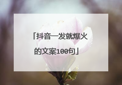 抖音一发就爆火的文案100句